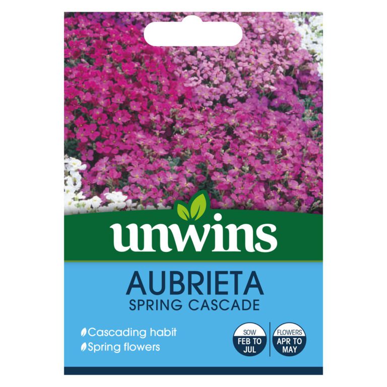 5051618010269 1 Aubrietia Spring Cascade Seeds.jpg